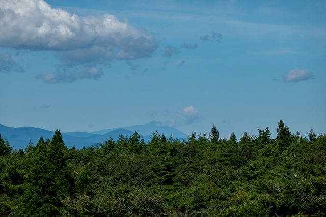 DSC09584
